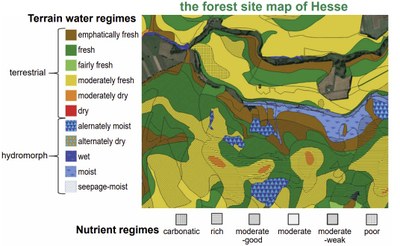 How to choose climate adapted tree species: Decision support for forest owners in Hesse, Germany.